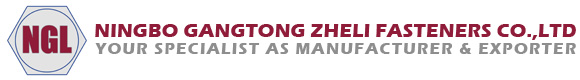 Ningbo Gangtong Zheli Fasteners: 25 років міцності високоміцних кріплень для глобальних проектів